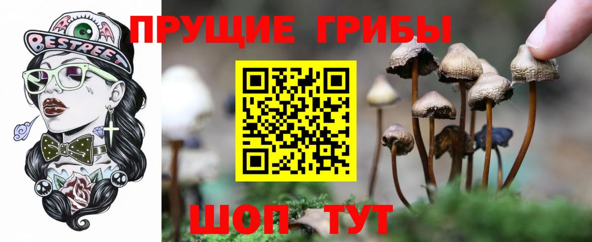 Галлюциногенные грибы Psilocybine cubensis  Вход с VPN  Электрогорск  Псилоцибиновые грибы GOLDEN TEACHER 